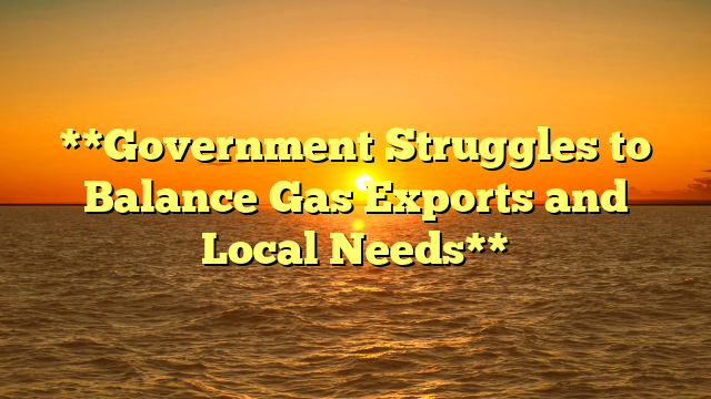 **Government Struggles to Balance Gas Exports and Local Needs**